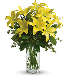 Teleflora's Lily Sunshine from Victor Mathis Florist in Louisville, KY